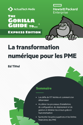 La transformation numérique pour les PME - Gorilla Guide thumbnail