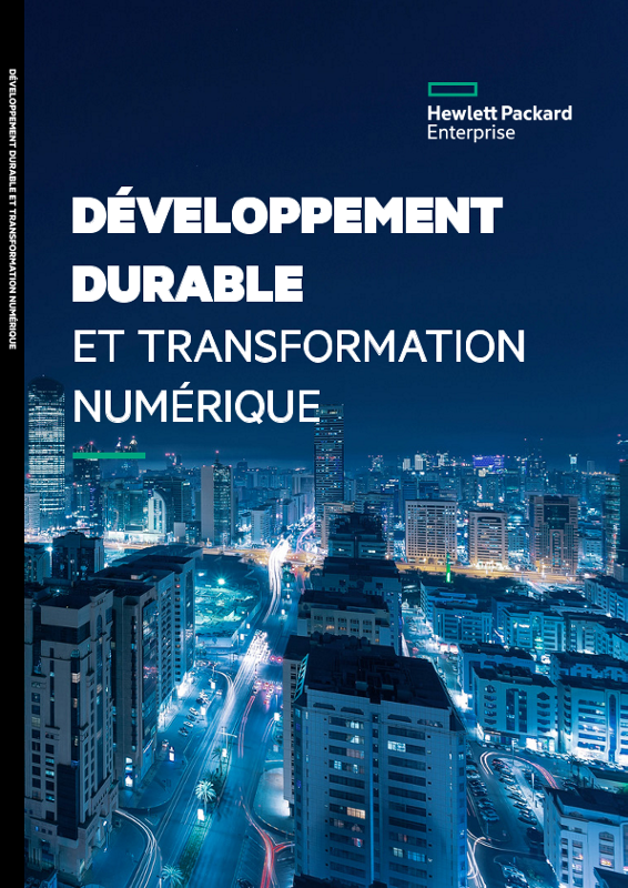 IT Gov Academy - Développement durable thumbnail