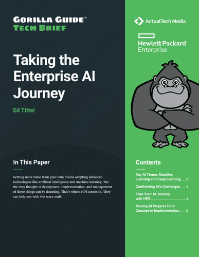 Taking the Enterprise AI Journey thumbnail