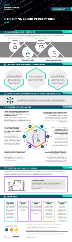 Exploring Cloud Perceptions infographic