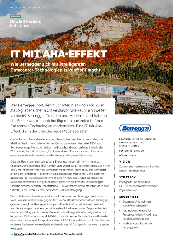 IT mit Aha-Effekt - Bernegger case study thumbnail