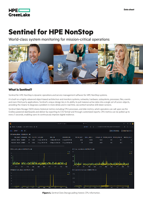 Sentinel for HPE NonStop data sheet thumbnail