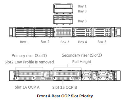 IMAGE 11