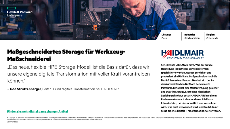 Maßgeschneidertes Storage für Werkzeug-Maßschneiderei Haidlmair - Success Slide (German) thumbnail