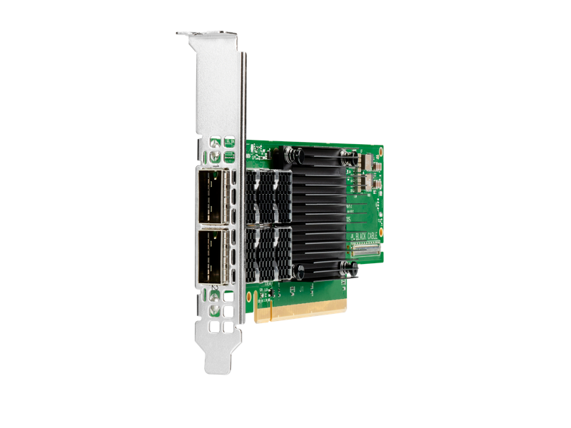 HPE Parallel File System InfiniBand HDR100/Ethernet 100Gb 2-port QSFP56 MCX653106A-ECAT Adapter