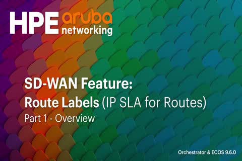 SD-WAN Feature - Route Labels - 1 - Overview | HPE