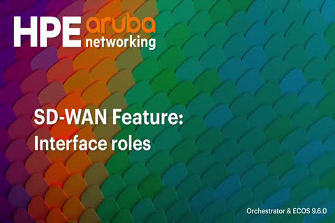 SD-WAN Feature - Interface roles | HPE