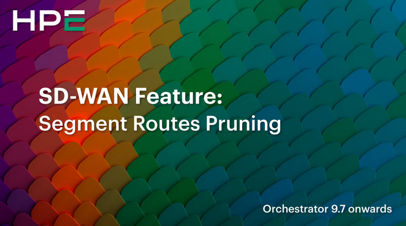 SD-WAN Feature - Segment Routes Pruning